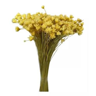 Imagem de Buque Flor Espeta Nariz Alvejado Desidratado Arranjos Decor - FLORA FU