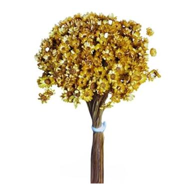 Imagem de Flor Sempre Viva Branca I Kit com ate 1.200 Flores Secas, Buquês, Decoração de Casamento e Eventos - Beleza Natural Eterna(Dourado,8buquês)