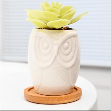 Imagem de Vaso de cerâmica médio de 9 x 6,6 cm, para suculentas, mini fofo, jardim, flor, berçário, suculenta, para plantas de interior, vasos de cerâmica, coruja, 12