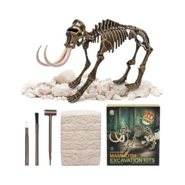 Imagem de Kit De Escavação De Fósseis De Dinossauro Para Crianças, Conjunto De B