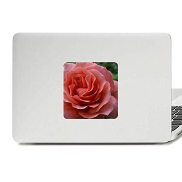 Imagem de Adesivo de vinil Paster Laptop com folhas verdes rosas rosas para decoração de PC
