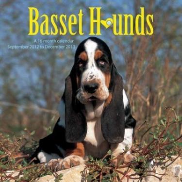 Imagem de Cabeça de Impressão Zebra 203DPI ZT220/ZT230 P1037974-010