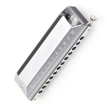 Imagem de Gaita profissional de 12 furos C chave cromática instrumento durável adequado para iniciantes