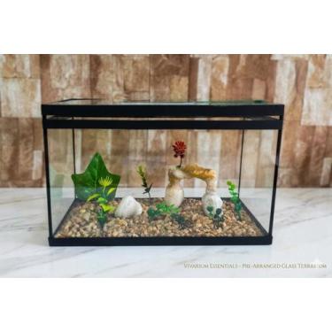 Imagem de Aquário Beteira Retangular Decorada 8 Litros até a borda Peixe Betta -
