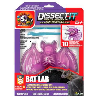 Imagem de Kit De Dissecação Com Refil Lab Dissect-it - Morcego