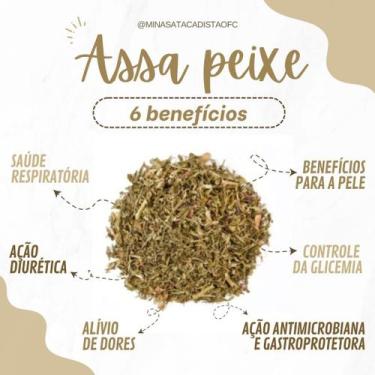 Imagem de ASSA PEIXE 500 gramas Erva desidratada - MINAS ATACADISTA