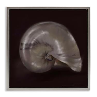 Imagem de Stupell Industries Arte de parede Seashell Treasure of Sea Black Framed Floater Canvas Design by Mary Sparrow, 18 x 18