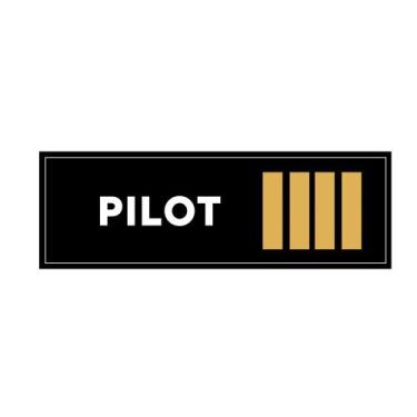Imagem de Sticker/adesivo pilot iiii - Pilot RC