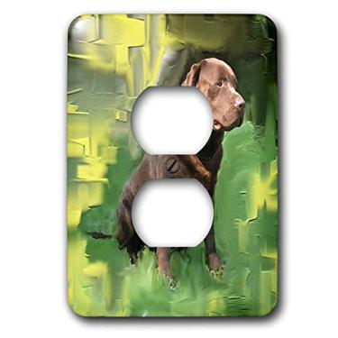 Imagem de 3dRose Tampa de tomada Lsp_3987_6 Labrador Retriever com 2 plugues