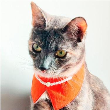 Imagem de Colar para gatos e cachorros - Ametista - Petna Moda Pet, PP
