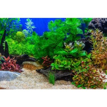 Imagem de Fundo de aquário folhas de grama subaquática com pano de fundo de aquário de seixos verde vívido e fresco planta aquática pedra leito de rio e lago peixe fundo de tanque de madeira morta vinil 182 x