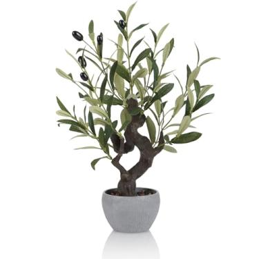 Imagem de TOARTi Vaso de oliveira artificial com vaso de pedra, bonsai japonês de 48 cm de altura, plantas falsas, planta de mesa, decoração realista para casa, quarto, banheiro, mesa de escritório