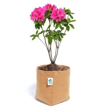 Imagem de 5 Vasos De Feltro De Plantas 4 Litros - King Pot, Caramelo