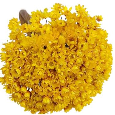 Imagem de Buquê de 300 Florzinhas, Sempre Viva e Mosquitinhos, Decorativo para Casa e Festas(Amarela)