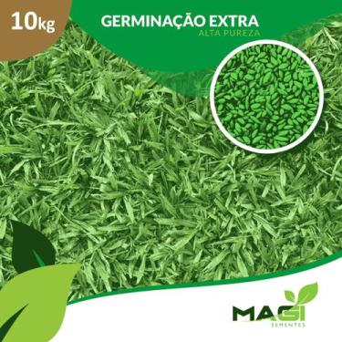 Imagem de Sementes de Grama Batatais (Mato Grosso) - Magi Sementes, 10 kg