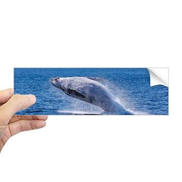 Imagem de DIYthinker Decalque de janela retangular com imagem de natureza de peixe jubarte oceano