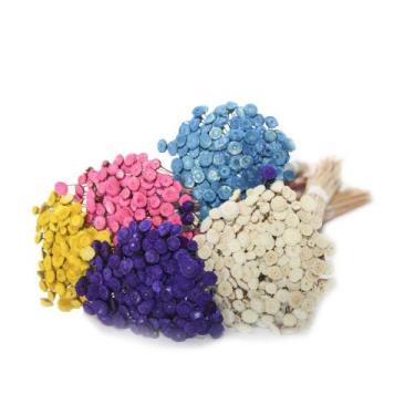 Imagem de 400 Botão Desidratado Sempre Viva Flores Secas - Tem Flores
