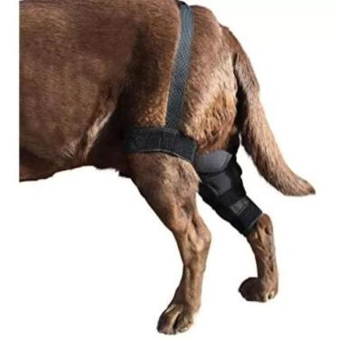 Imagem de Joelheira Tala De Metal Articulada Luxação De Patela Cão - Labra, P