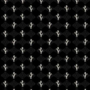 Imagem de Papel De Parede Cavalo Cinza Fundo Preto Adesivo Decorativo