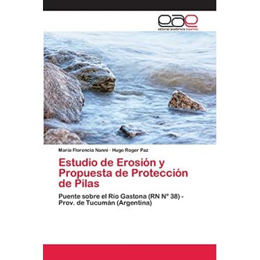 Imagem de Estudio de Erosión y Propuesta de Protección de Pilas: Puente sobre el Río Gastona (RN N° 38) - Prov. de Tucumán (Argentina)