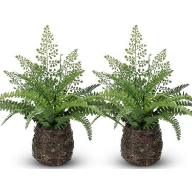 Imagem de Jexine Pacote com 2 plantas artificiais de samambaia de Boston, arbustos, plantas em vaso de samambaias falsas, vegetação para pátio, casa, escritório, jardim, peitoril da janela, decoração interna ao