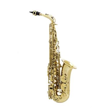 Imagem de Saxofone Halk Alto Mib Dourado Completo