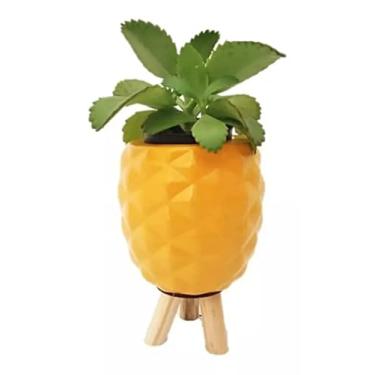 Imagem de Vaso de Ceramica modelo Abacaxi Amarelo com pé de madeira retro para Suculenta
