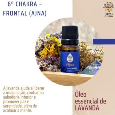 Imagem de Óleo essencial de lavanda - ERVAS DE GAYA