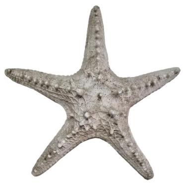 Imagem de Estrela Do Mar Resina P/ Pendurar Parede Pousada Praia 20cm - M3 Decor