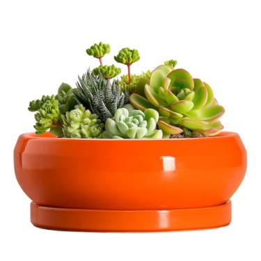 Imagem de EPFamily Vasos de bonsai de cerâmica, vaso de plantas de 15 cm com orifícios de drenagem e pires, laranja