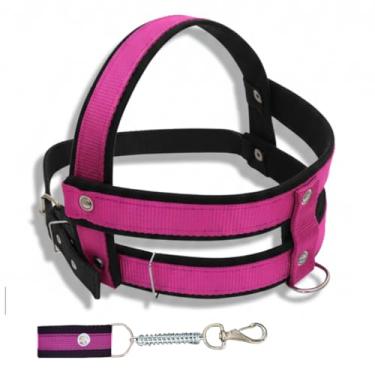 Imagem de Conjunto Peitoral Com Guia De Nylon Reforçado Super Resistente Para Cachorro Cão Grande Porte Anti Puxão (Rosa, P)