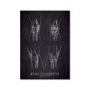 Imagem de Arte de anatomia humana, pintura em tela médica, vintage, esqueleto muscular, educação, pôster, impressão de imagem de parede, decoração de clínica hospitalar (SKU11,8 x 30,5 cm = (20 x 30 cm), sem