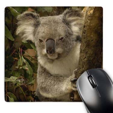 Imagem de 3dRose Urso coala, santuário de coala pinho solitário, AUSTRALIA-AU01 POX000 - mouse pad, 20 x 20 cm (mp_70179_1)