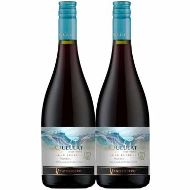 Imagem de Kit 2 Garrafas Vinho Tinto Ventisquero Queulat Gran Reserva Pinot Noir 750ml
