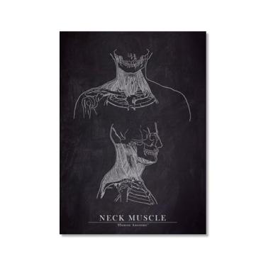 Imagem de Arte de anatomia humana, pintura em tela médica, vintage, esqueleto muscular, educação, pôster, impressão de imagem de parede, decoração de clínica hospitalar (SKU7,8 x 30,5 cm = (20 x 30 cm), sem