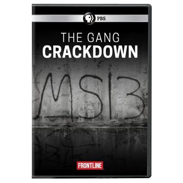 Imagem de FRONTLINE: The Gang Crackdown DVD