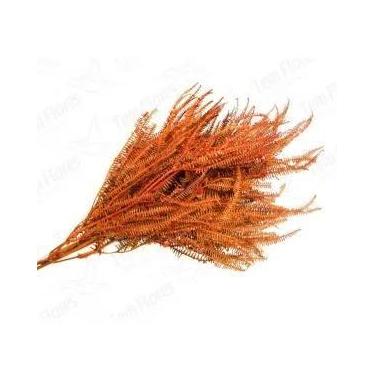 Imagem de Samambaia Tres Andares Vermelho Flor Buque Flores Secas - Pense Flores