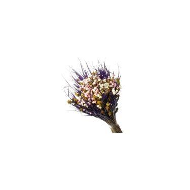 Imagem de Buque De Flor Seca Estrelinha - Variações - Pense Flores, Roxo