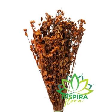 Imagem de Buque Flor Chuvisco Natural Desidratada Buque Flores Secas - Flora Ful