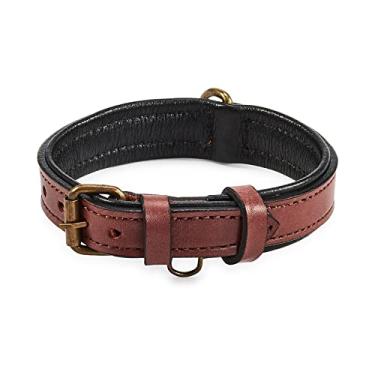 Imagem de Coleira de cachorro de couro real acolchoada interior macio com visual vintage premium feito à mão com anel de etiqueta para animais de estimação pequenos médios e grandes (pequeno (2,54 cm de largura para 27,32 cm - 35,88 cm de pescoço), sangue ox)