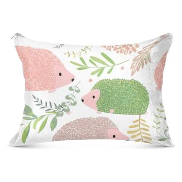 Imagem de Lindos ouriços cores macias fronhas de flanela branca decorativas King Queen tamanho padrão fronhas decoração de casa, tamanho Queen, 50,8 cm x 76,2 cm