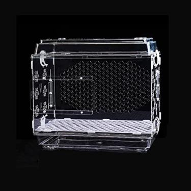 Imagem de U5GAAALPPQ9 Gaiola de pássaro pequeno periquito peônia papagaio gaiola de pássaro acrílico transparente plexiglass ornamental reprodução incubadora gaiola de pássaro para periquitos e tentilhões (cor