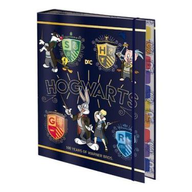 Imagem de Fichário Universitário Escolar Argolado Personagens 24,5x30 - dac, Azu