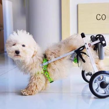 Imagem de Cadeira de rodas para cães e gatos - Carrinho de apoio de perna traseira de 2 rodas para mobilidade e exercício (XS) - Cadeira de rodas ajustável, leve e durável para animais de estimação