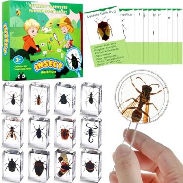 Imagem de Briwooody 12 peças de amostra de inseto em resina com 1 lupa 12 cartões de informação, pesos de papel de coleção de insetos preservados em resina para educação científica (besouro)