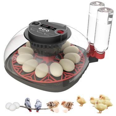 Imagem de Incubadoras para ovos para incubação, incubadora de 12 ovos com virador automático de ovos, controle de temperatura e umidade, incubadora de visão de 360° para ovos de galinha, pato, codorna e ganso