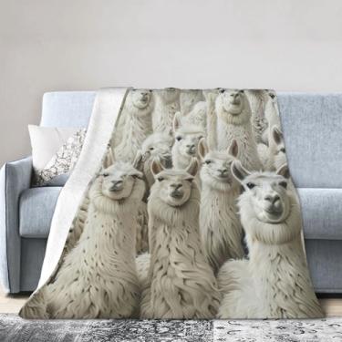 Imagem de Cobertor grande super macio, confortável e quente para cama, sofá e viagens