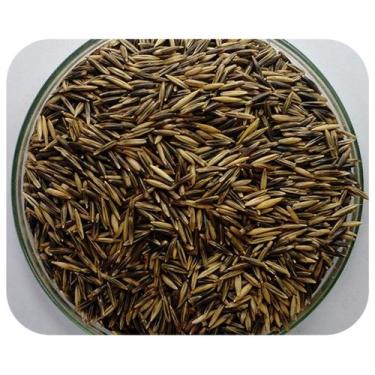Imagem de Sementes de Aveia Preta / Avena Strigosa - 1 kg De Sementes