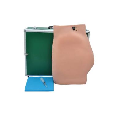 Imagem de Simulador Médico Intramuscular no Glúteo Eletrônico Sdorf