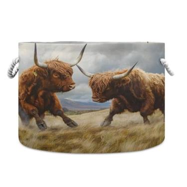 Imagem de JUZIHAI Cesta de armazenamento dobrável Highland Cows Fighting, cesto de roupa suja para bebê, cobertor com alças de corda de algodão, caixa organizadora de armário dobrável para quarto, berçário